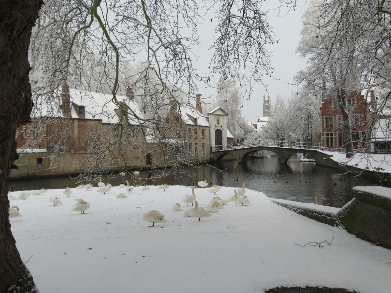 Forgatz Studio Apartment Bruges Exterior photo